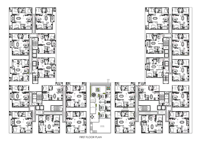 Ankura Meridian Whitefield floor  layout 